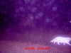 MDGC0004.JPG