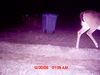 MDGC0011.JPG