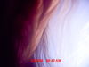MDGC0014.JPG