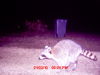 MDGC0021b.JPG