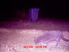 MDGC0023.JPG
