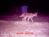 MDGC0031.JPG